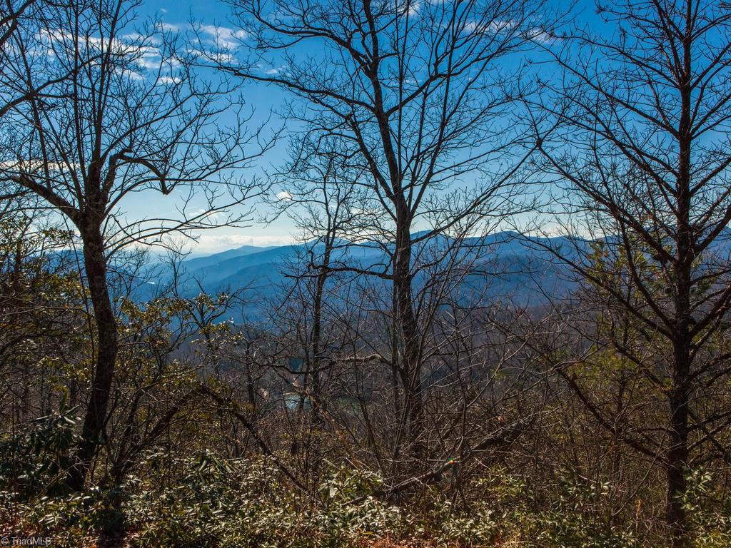 962-963 Bat Cave Road Old Fort, NC 28762 - Photo 4 of 15 View from lot