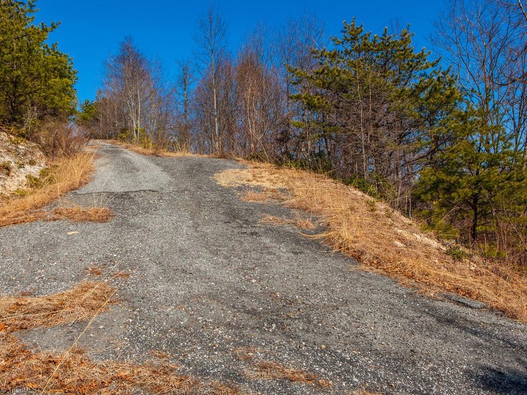 962-963 Bat Cave Road Old Fort, NC 28762 - Photo 6 of 15 Gallery Image 6