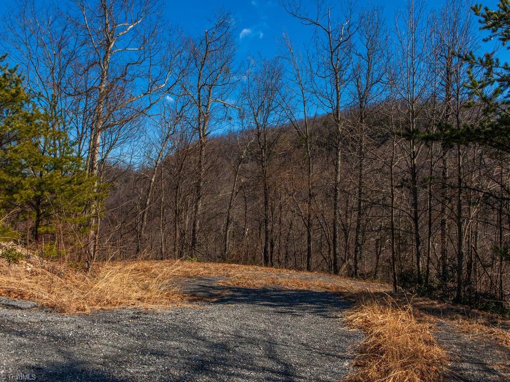 962-963 Bat Cave Road Old Fort, NC 28762 - Photo 7 of 15 Gallery Image 7