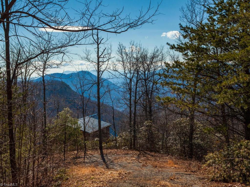 962-963 Bat Cave Road Old Fort, NC 28762 - Photo 8 of 15 Gallery Image 8