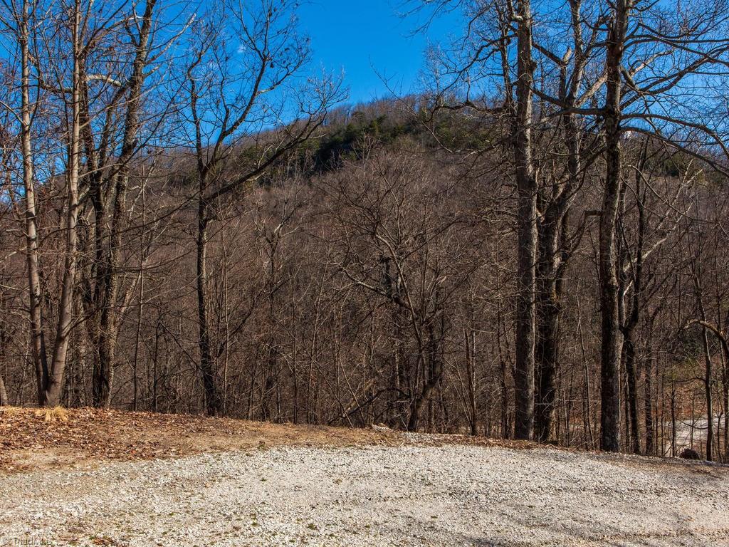 962-963 Bat Cave Road Old Fort, NC 28762 - Photo 9 of 15 Gallery Image 9