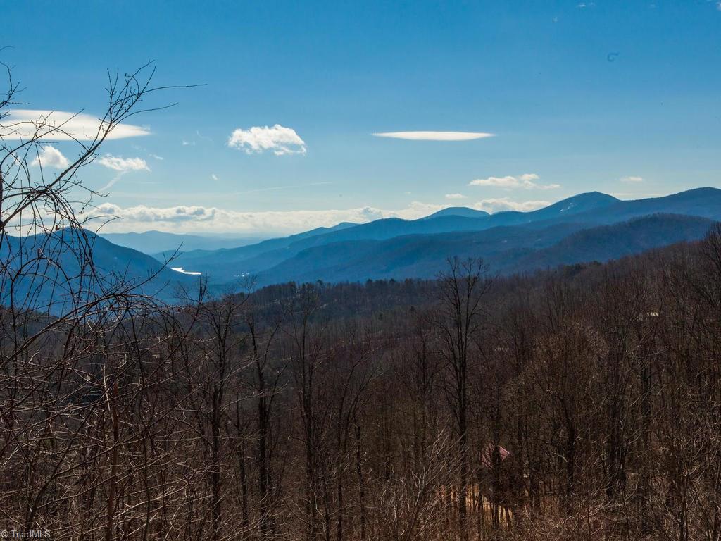 962-963 Bat Cave Road Old Fort, NC 28762 - Photo 10 of 15 Gallery Image 10