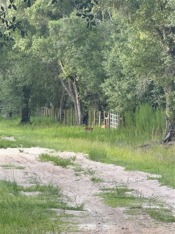 Southeast Brown Road Arcadia, FL 34266 - Photo 11 of 18 a view of a lake with a yard