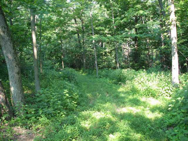 6491 Northridge Road Johnstown, OH 43031 - Photo 1 of 1