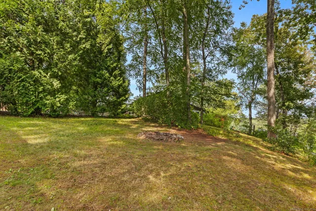 a view of yard with green space