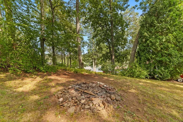 a view of a yard with a tree