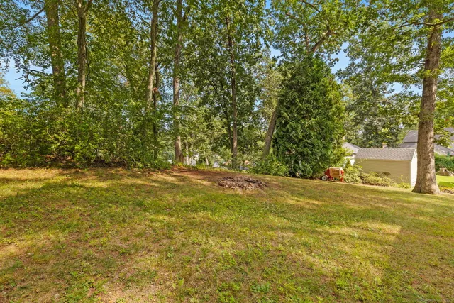 a view of a yard with a trees