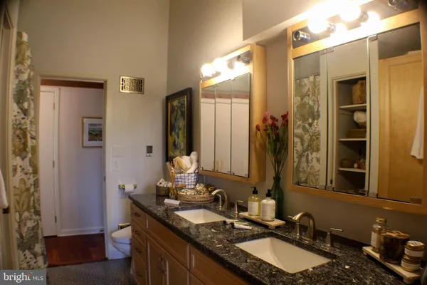 a view of a lush green outdoor space with a lake view and mountain view