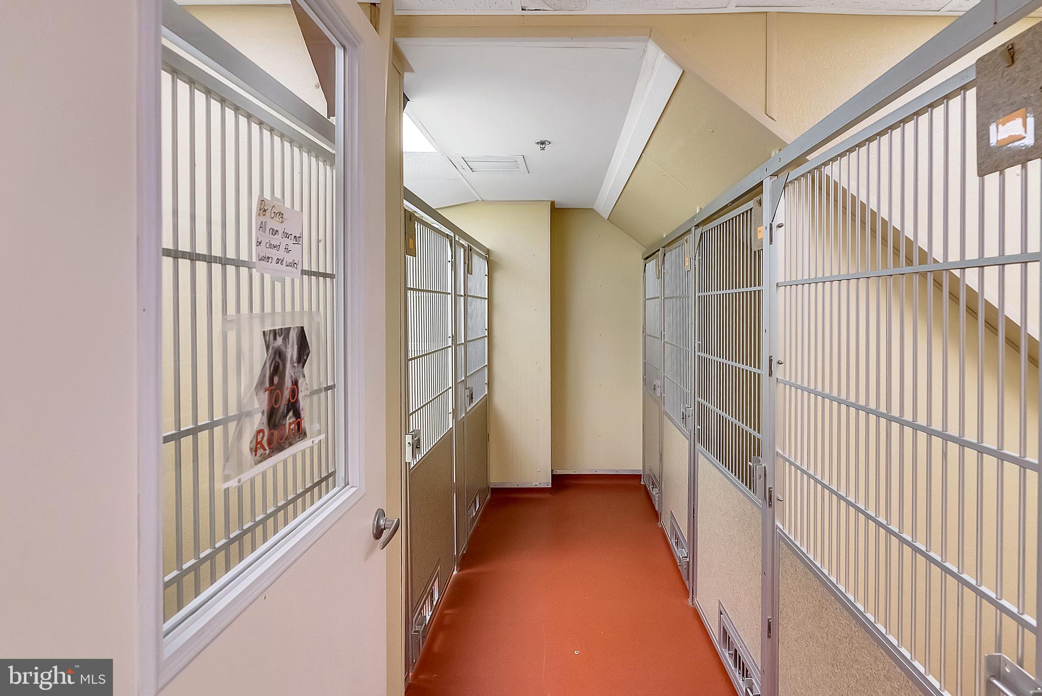 636 Almshouse Road Ivyland, PA 18974 - Photo 68 of 90 Kennel