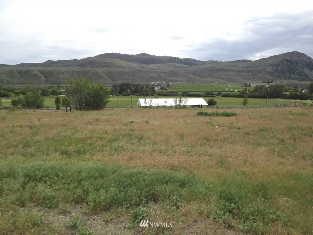 23 Foggy River Loop Riverside, WA 98849 - Photo 8 of 8