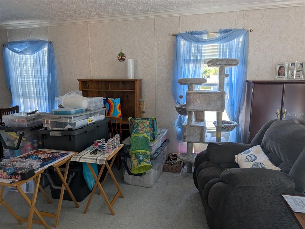 5139 Northeast Sandy Road Arcadia, FL 34266 - Photo 14 of 45 a living room with furniture and a fireplace