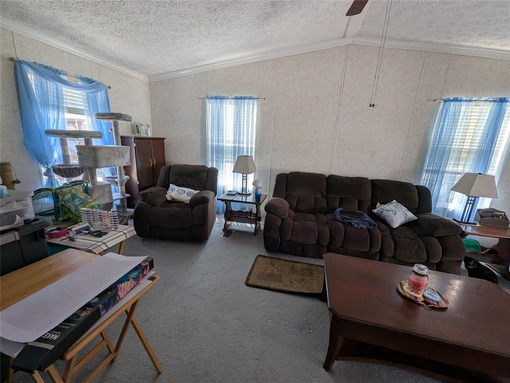 5139 Northeast Sandy Road Arcadia, FL 34266 - Photo 17 of 45 a living room with furniture rug and window