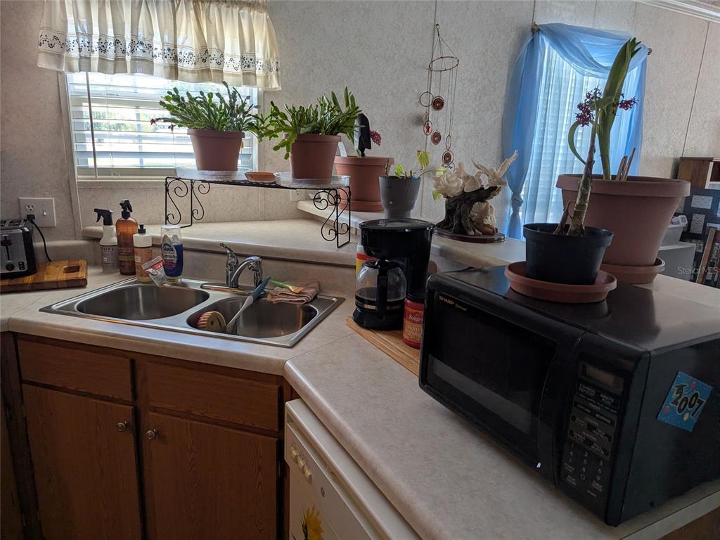 5139 Northeast Sandy Road Arcadia, FL 34266 - Photo 18 of 45 a kitchen with a stove a sink and a potted plant