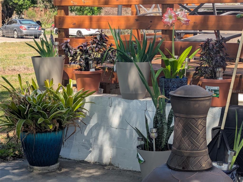 5139 Northeast Sandy Road Arcadia, FL 34266 - Photo 39 of 45 a view of outdoor sitting area with potted plants