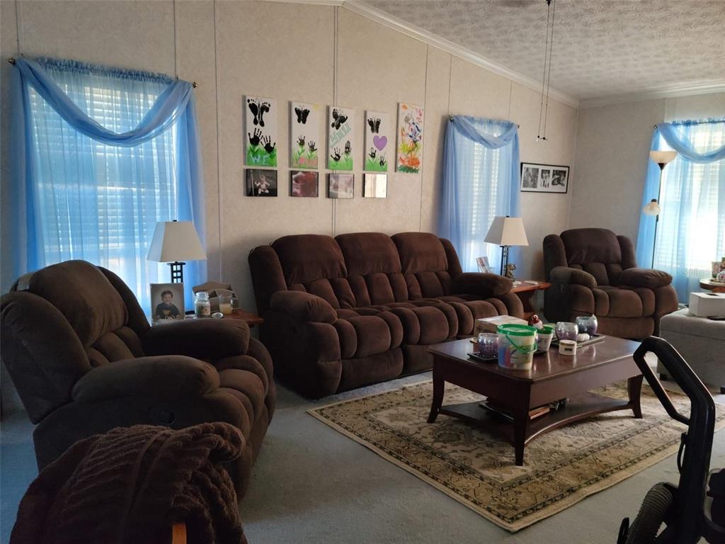 5139 Northeast Sandy Road Arcadia, FL 34266 - Photo 10 of 45 a living room with furniture