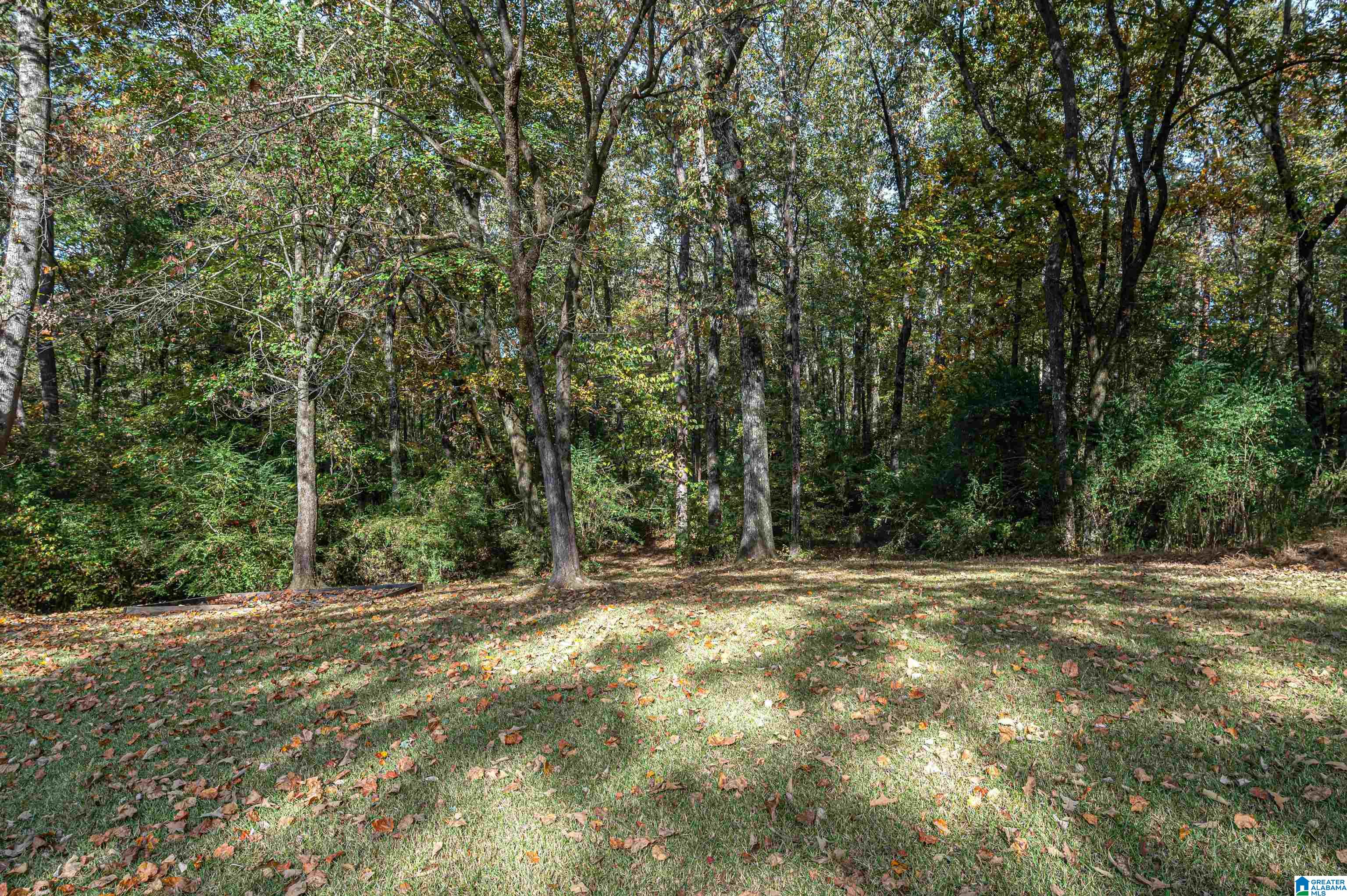 628 Madeira Circle Morris, AL 35116 - Photo 41 of 42