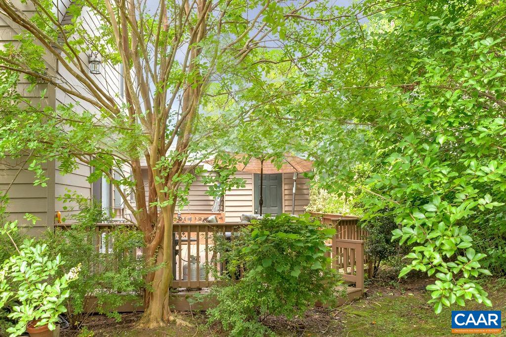 1275 Millpond Road Charlottesville, VA 22902 - Photo 17 of 19 Gallery Image 17