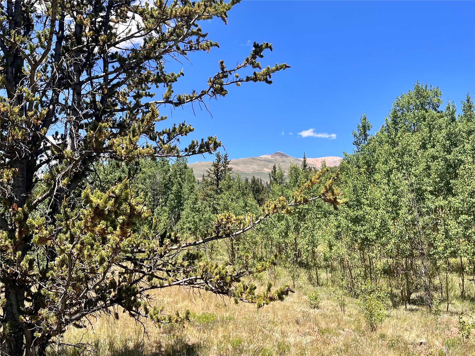 845 Adventure Road Alma, CO 80420 - Photo 26 of 31 Gallery Image 26
