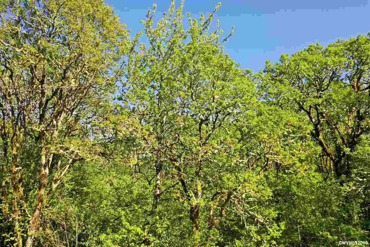 7865 Highland Road Independence, OR 97351 - Photo 11 of 22