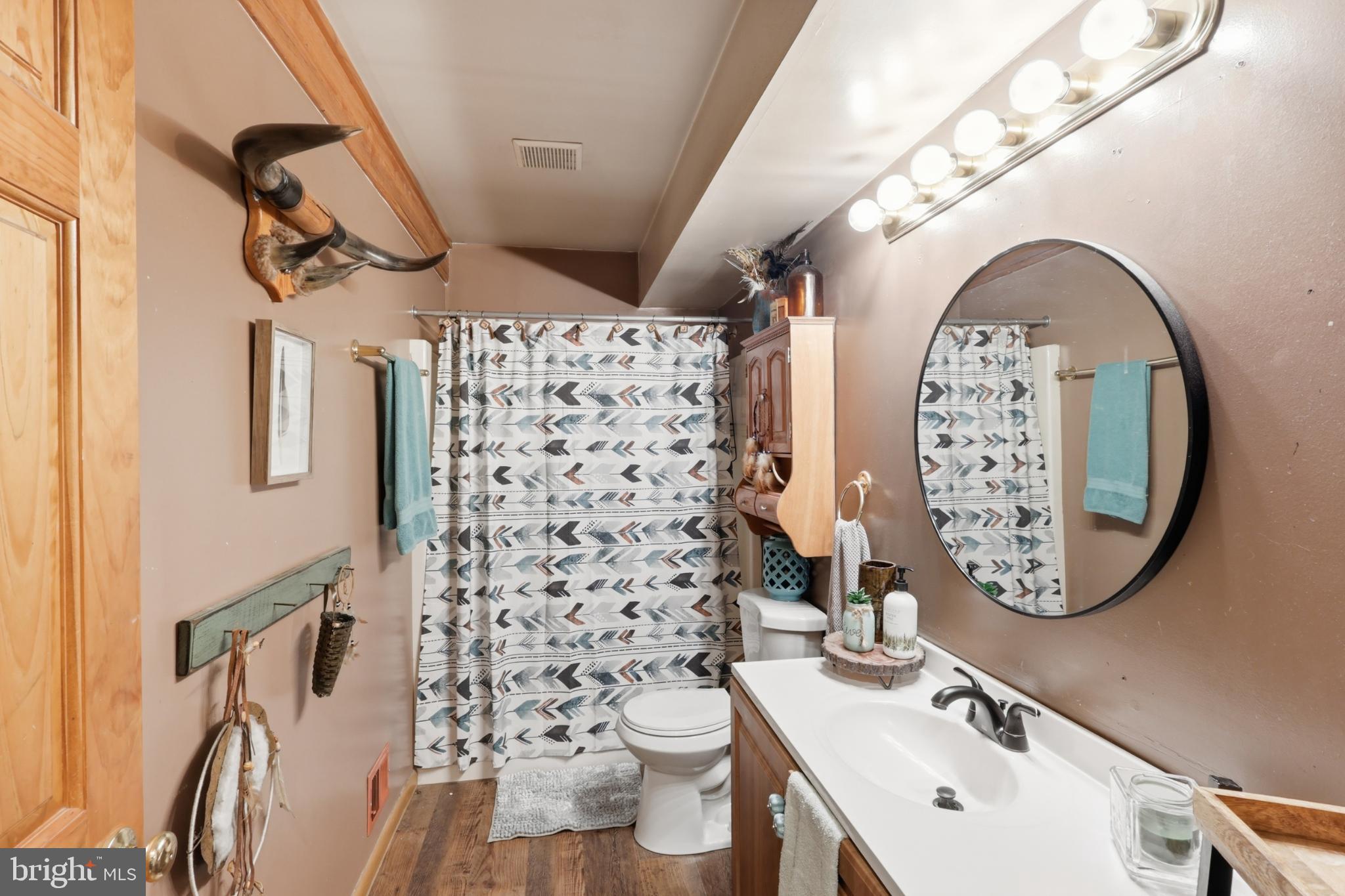 8939 Hawbottom Road Middletown, MD 21769 - Photo 23 of 92 a bathroom with a sink a toilet and a mirror