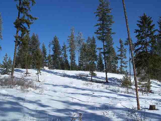 20-xxx North Dunn Road Colbert, WA 99005 - Photo 3 of 8
