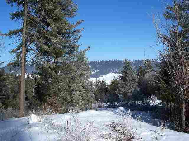 20-xxx North Dunn Road Colbert, WA 99005 - Photo 8 of 8