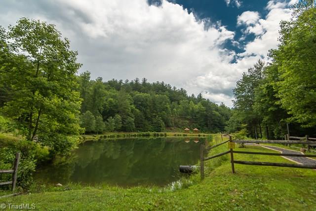 1590 Buck Mountain Road Purlear, NC 28665 - Photo 35 of 37