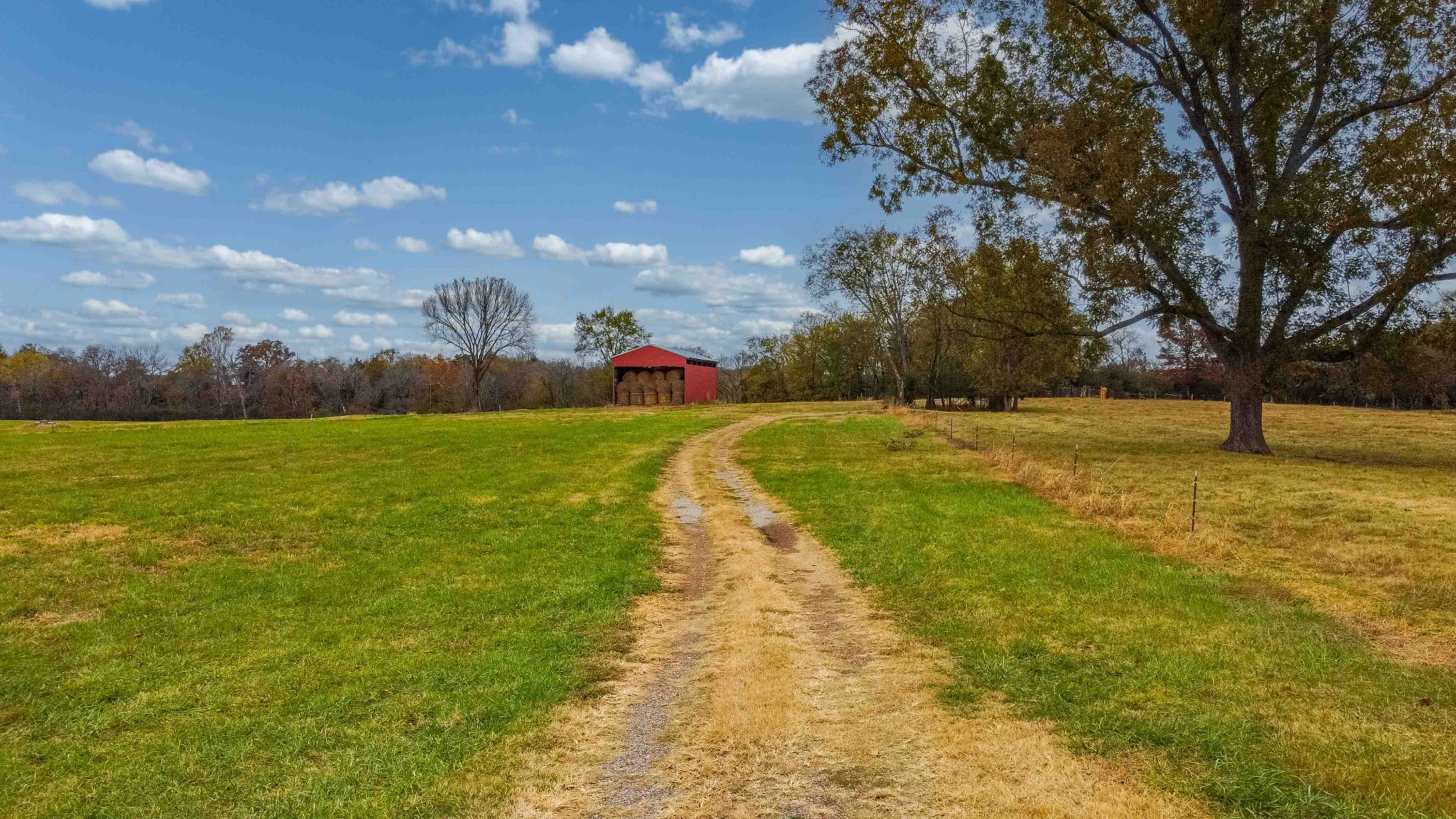 0 Wallace Thompson Road Lewisburg, TN 37091 - Photo 15 of 31