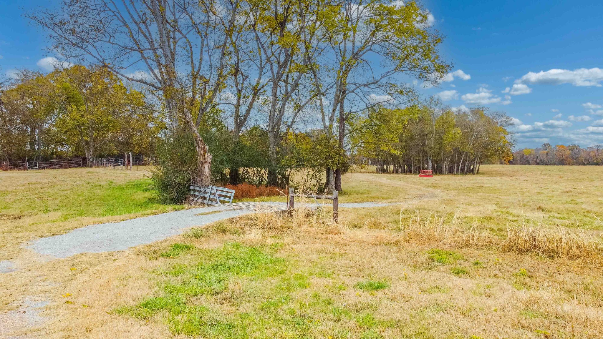 0 Wallace Thompson Road Lewisburg, TN 37091 - Photo 16 of 31