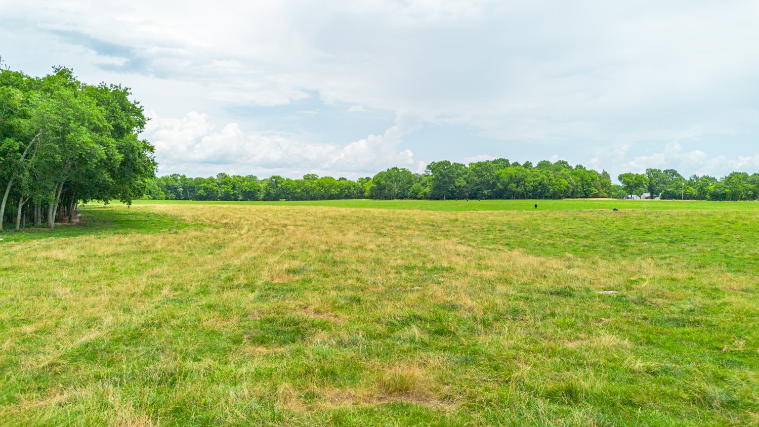 0 Wallace Thompson Road Lewisburg, TN 37091 - Photo 17 of 31