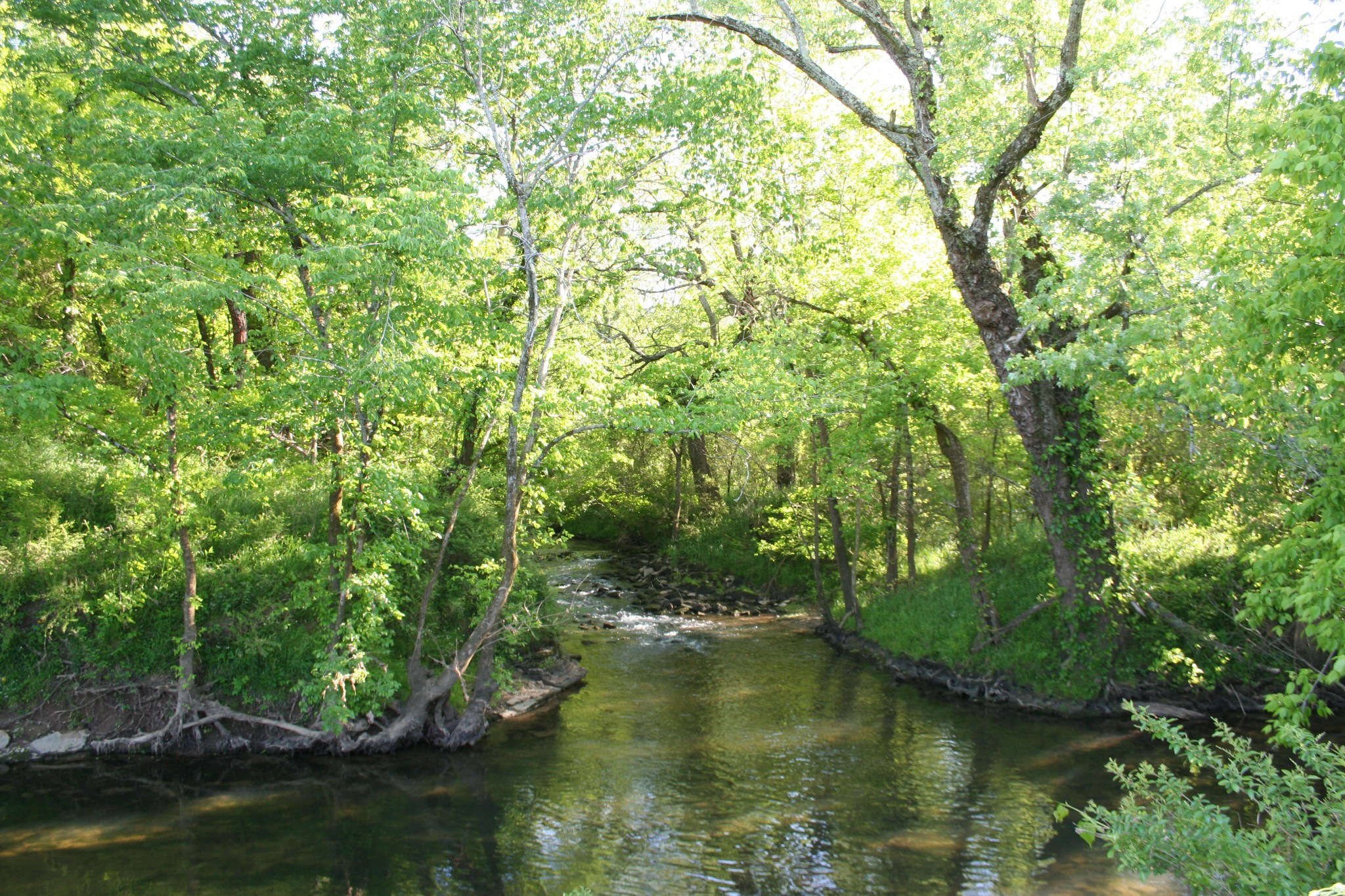 0 Wallace Thompson Road Lewisburg, TN 37091 - Photo 20 of 31