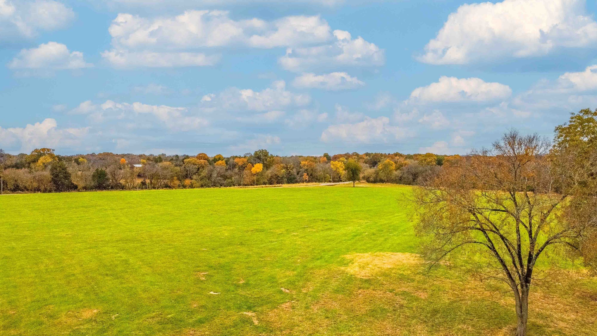 0 Wallace Thompson Road Lewisburg, TN 37091 - Photo 22 of 31