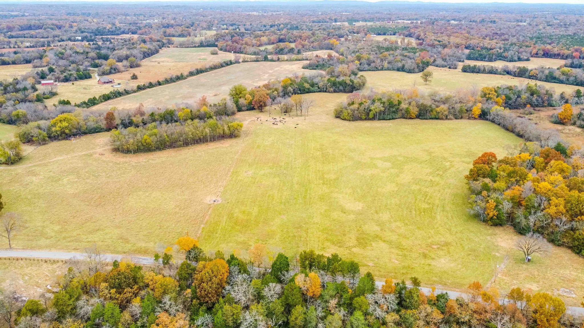 0 Wallace Thompson Road Lewisburg, TN 37091 - Photo 24 of 31