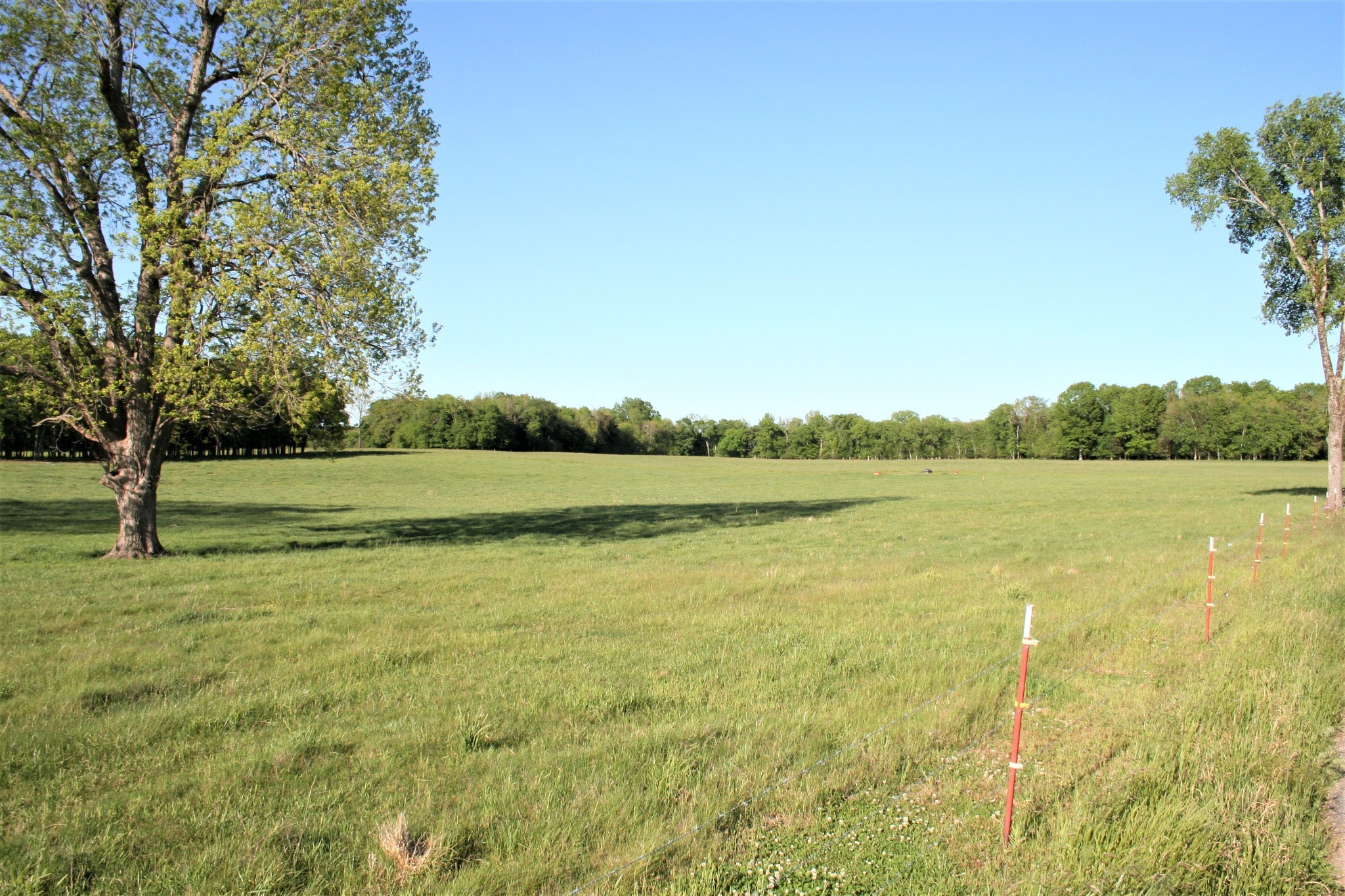 0 Wallace Thompson Road Lewisburg, TN 37091 - Photo 29 of 31