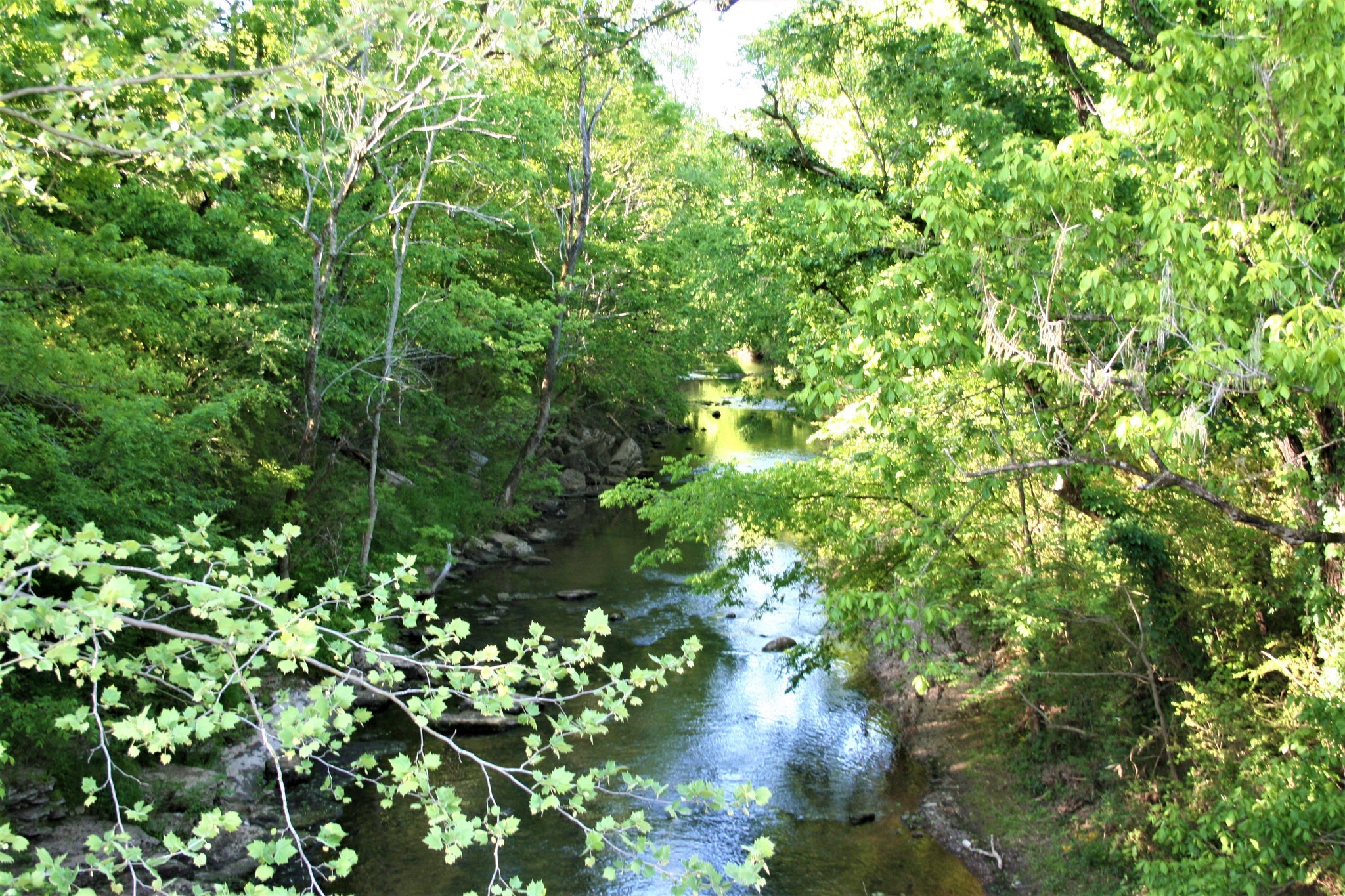 0 Wallace Thompson Road Lewisburg, TN 37091 - Photo 30 of 31