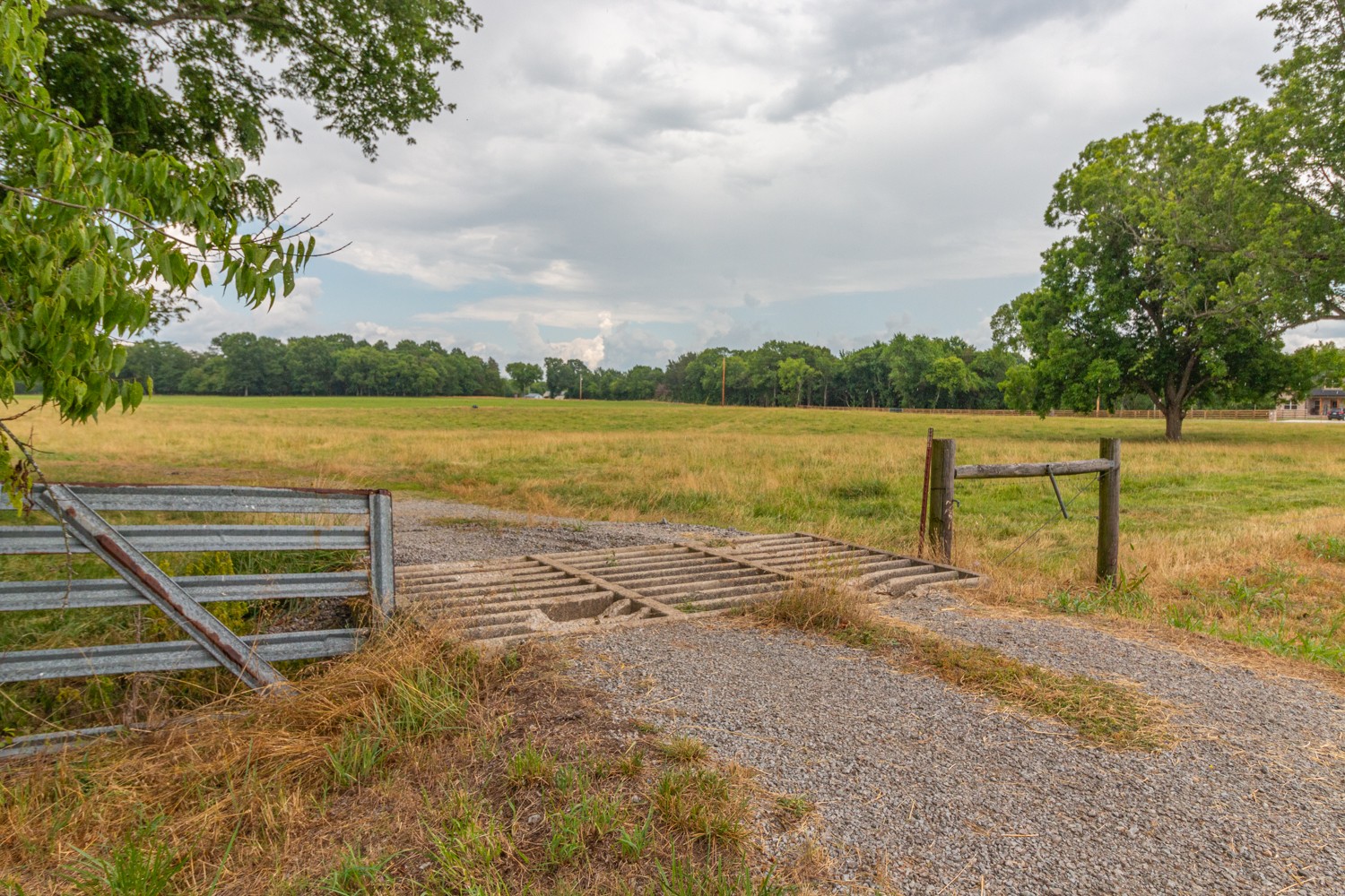 0 Wallace Thompson Road Lewisburg, TN 37091 - Photo 4 of 31