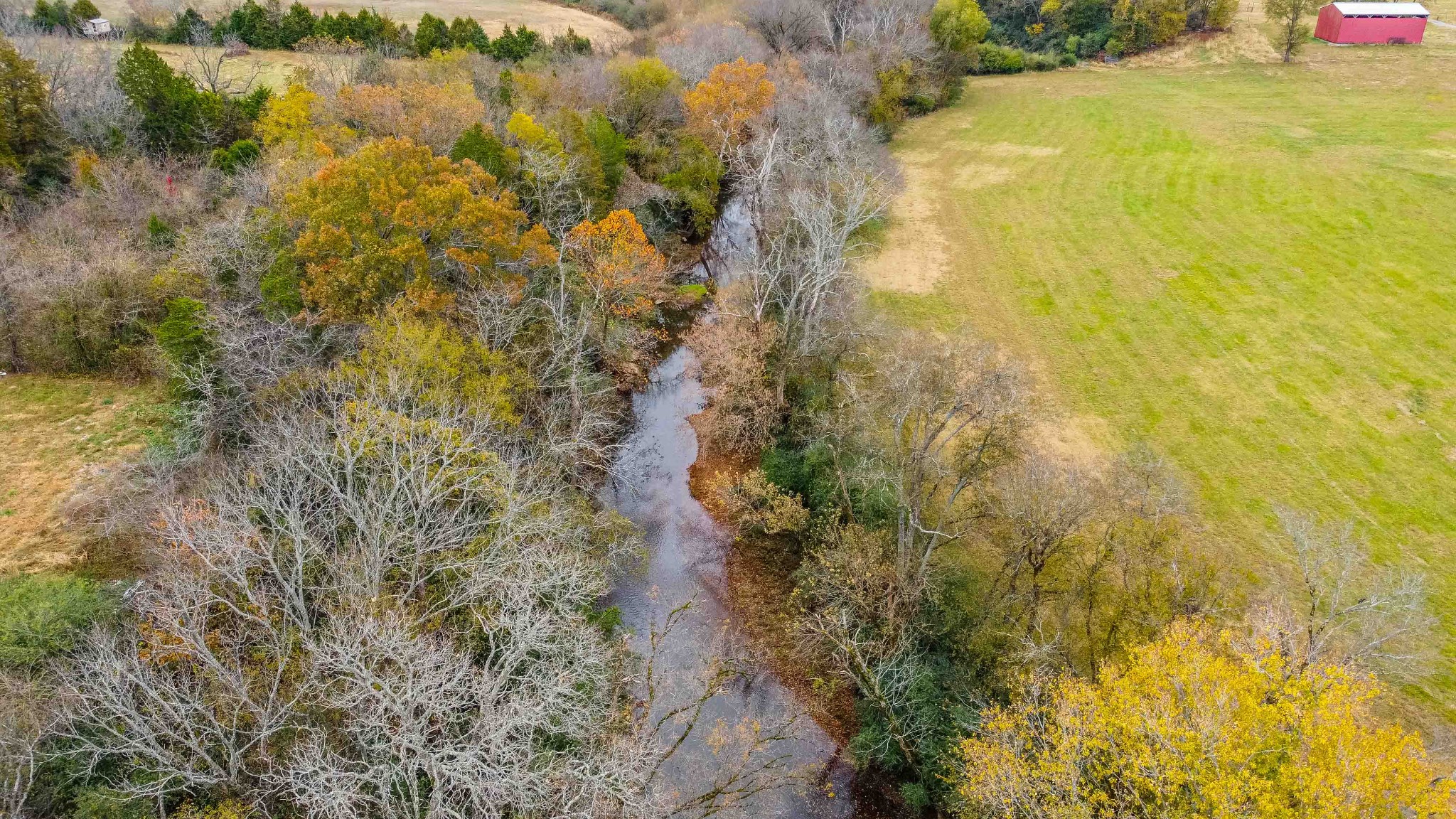 0 Wallace Thompson Road Lewisburg, TN 37091 - Photo 5 of 31