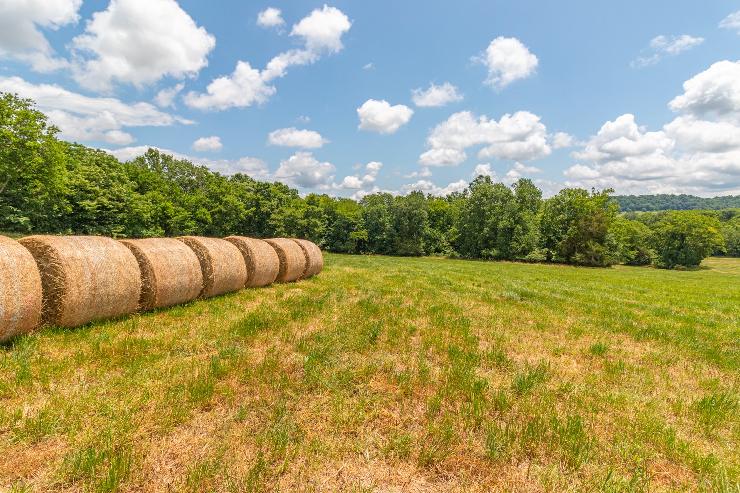 0 Wallace Thompson Road Lewisburg, TN 37091 - Photo 6 of 31