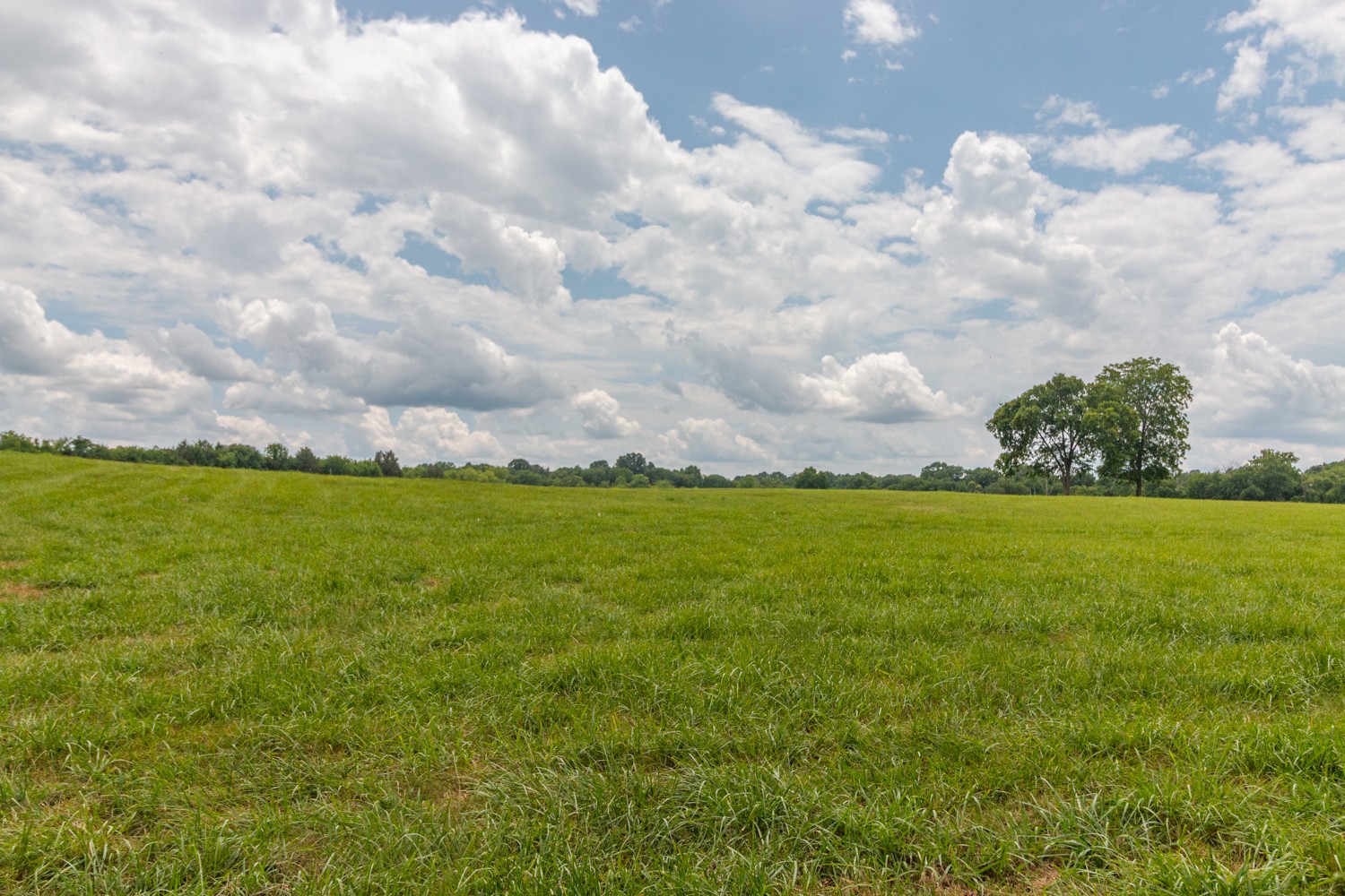 0 Wallace Thompson Road Lewisburg, TN 37091 - Photo 7 of 31