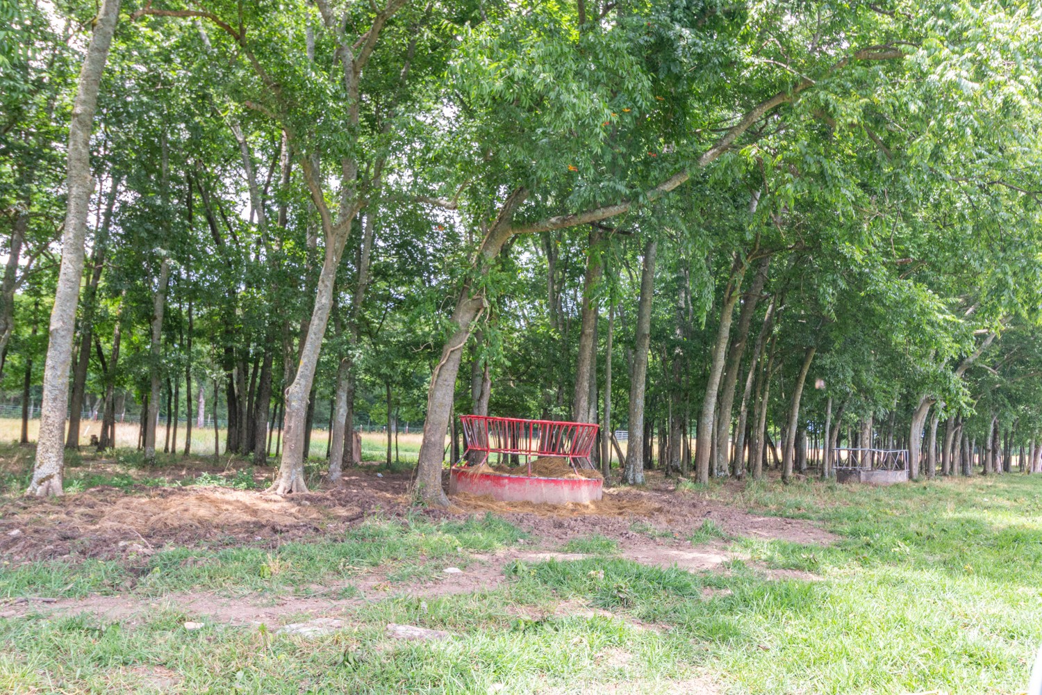 0 Wallace Thompson Road Lewisburg, TN 37091 - Photo 9 of 31