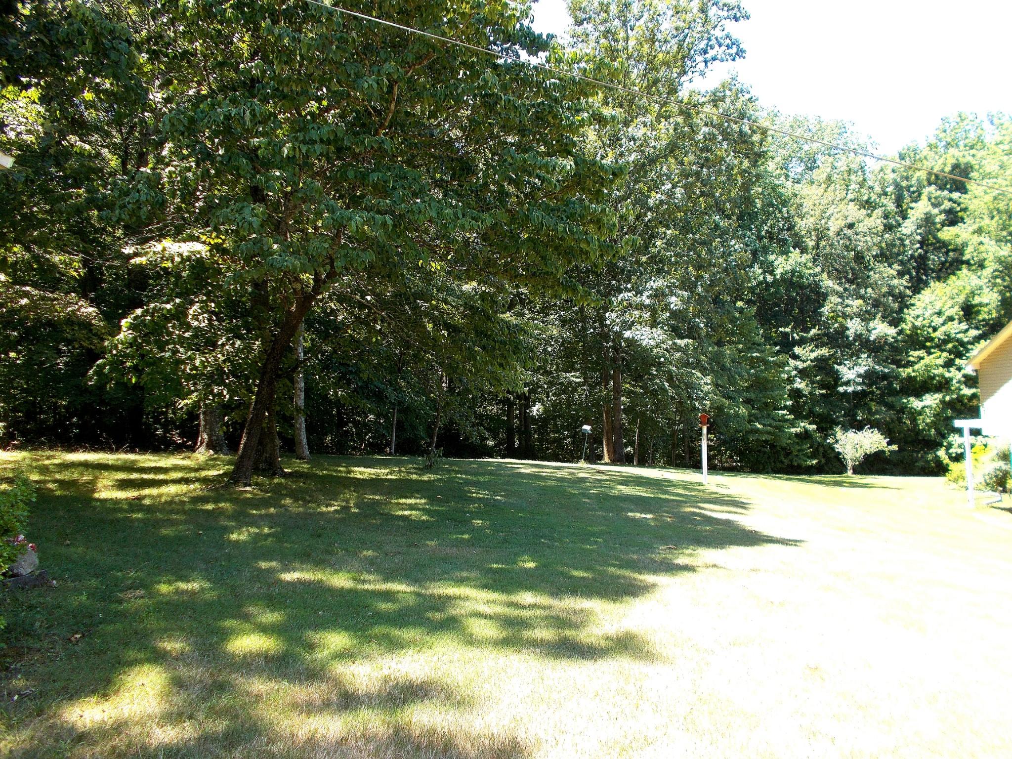 924 Woodhaven Road Lyles, TN 37098 - Photo 15 of 47 Sunny & shady back yard.