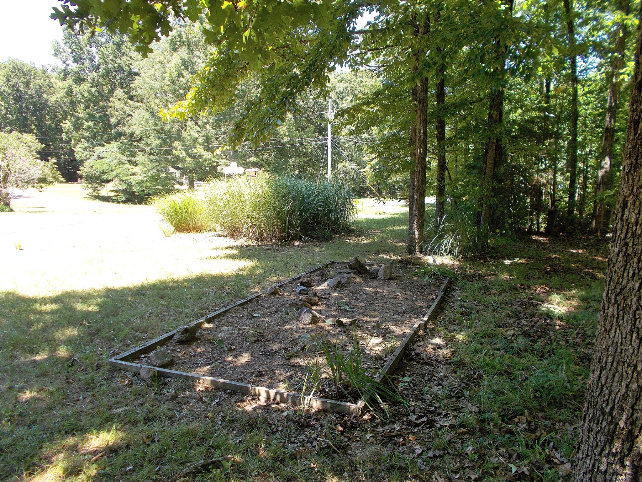 924 Woodhaven Road Lyles, TN 37098 - Photo 17 of 47 Shade garden near the driveway.