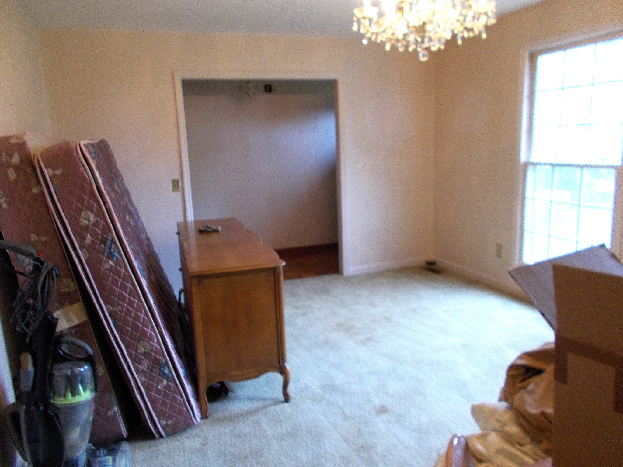924 Woodhaven Road Lyles, TN 37098 - Photo 27 of 47 Living room still has furniture which is in the process of being moved.