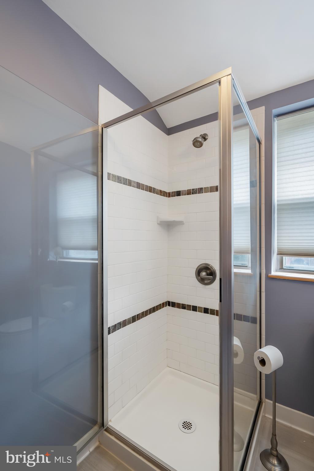 8316 Wyton Road Baltimore, MD 21286 - Photo 21 of 36 Luxurious Shower