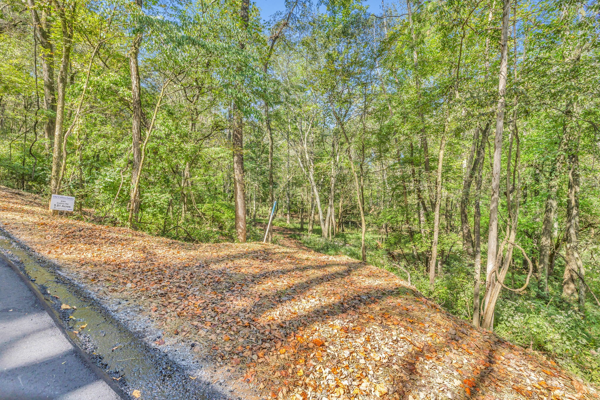 8391 Collins Road Nashville, TN 37221 - Photo 8 of 28 Gallery Image 8