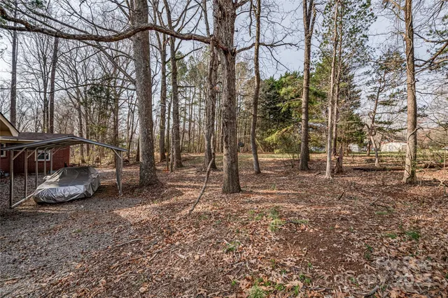 a view of a yard with trees
