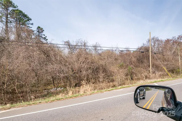 a view of a yard with plants and trees