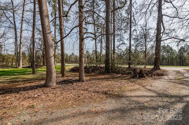 a view of backyard with green space