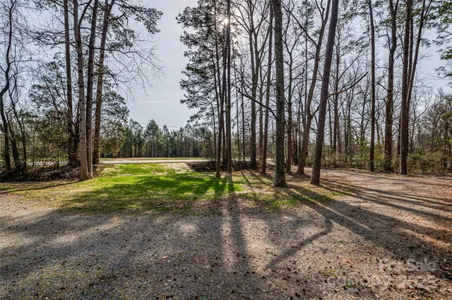 a view of a park with large trees