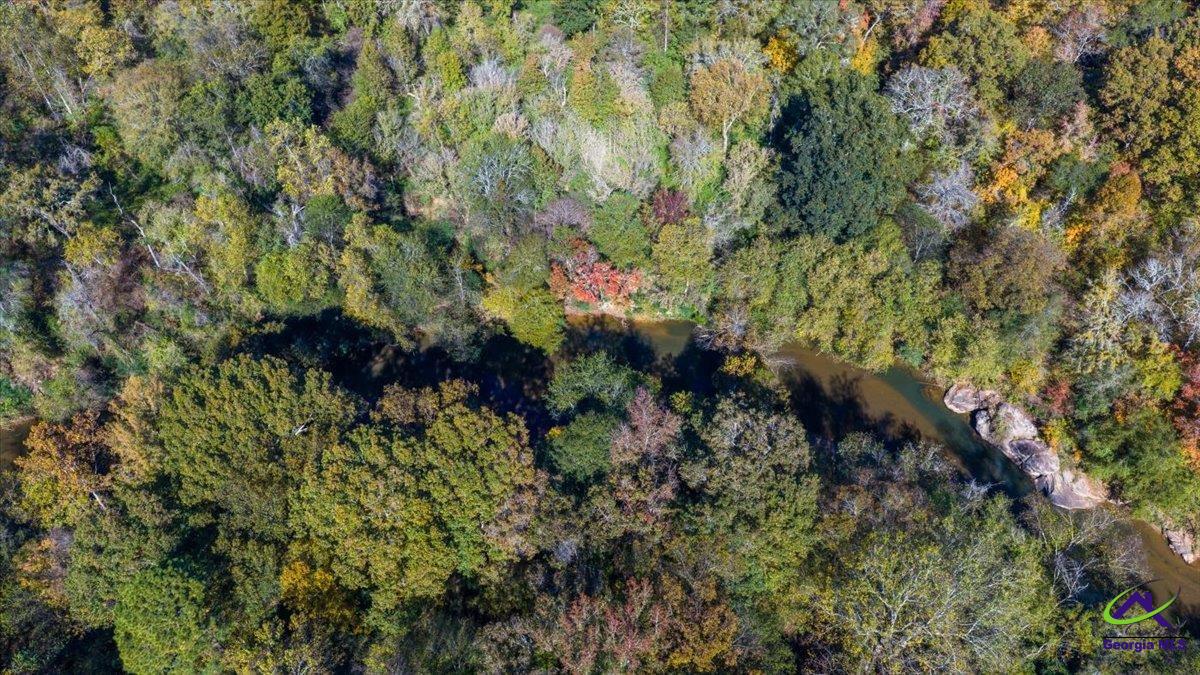 3271 Highway 42 Forsyth, GA 31029 - Photo 15 of 29